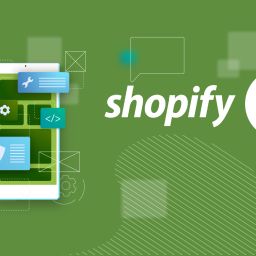 shopify-plugin