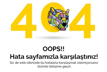 404S