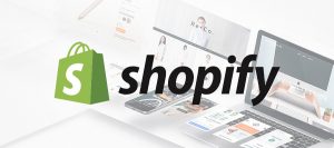 shopify ecommerce store