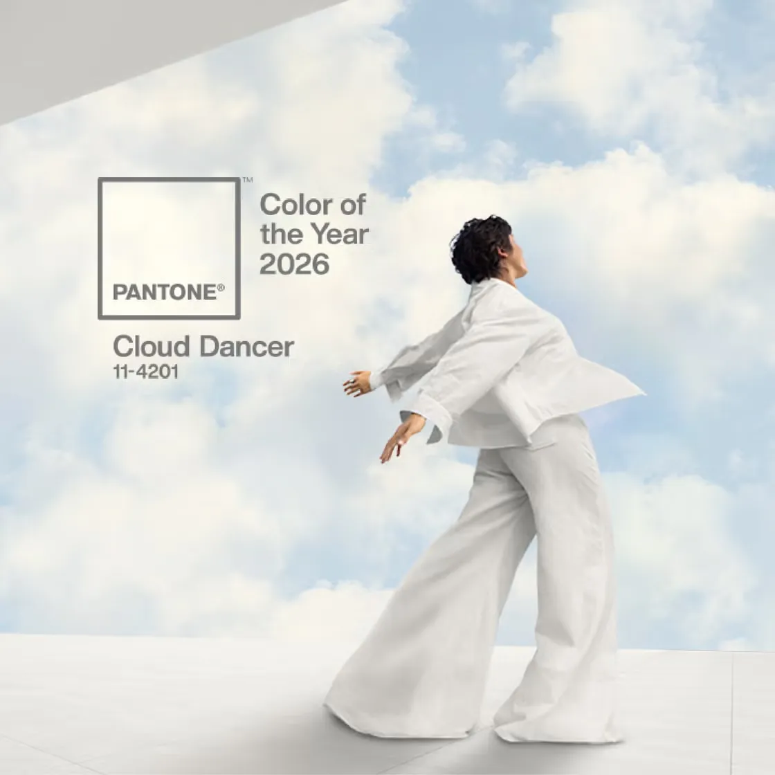 Pantone’s “Cloud Dancer” Selection and the Simplification Effect on Global Design Trends 1 cloud dancer